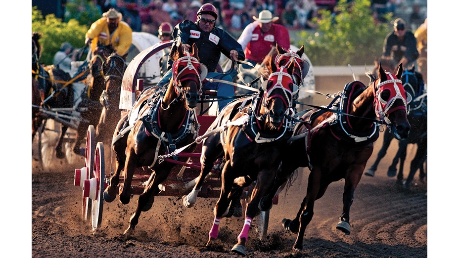 Storytelling for Stampede